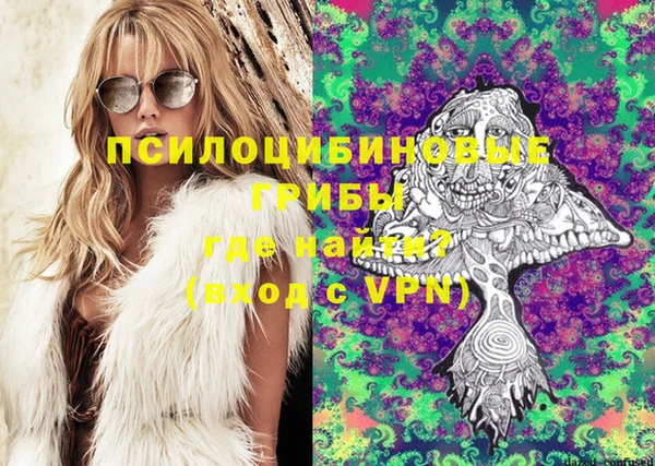 mdpv Арсеньев