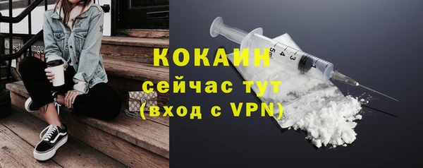крисы Армянск