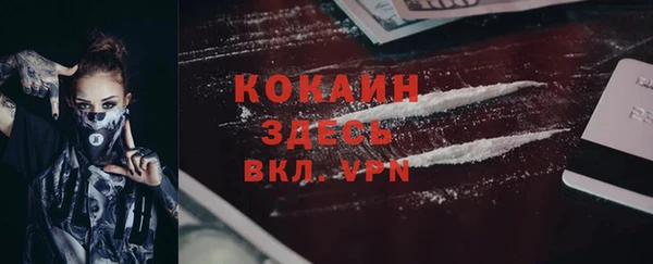 крисы Армянск