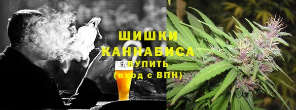 крисы Армянск