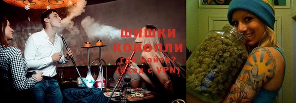 крисы Армянск
