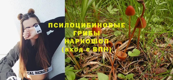 mdpv Арсеньев